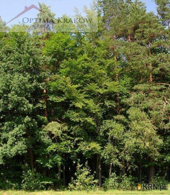 Łęki, ul. , , Działki  na sprzedaż