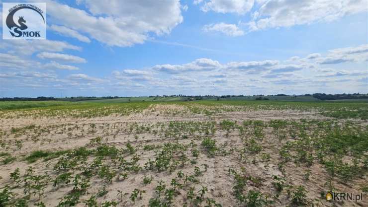 Mogilany, Celiny, ul. , Działki  na sprzedaż, 