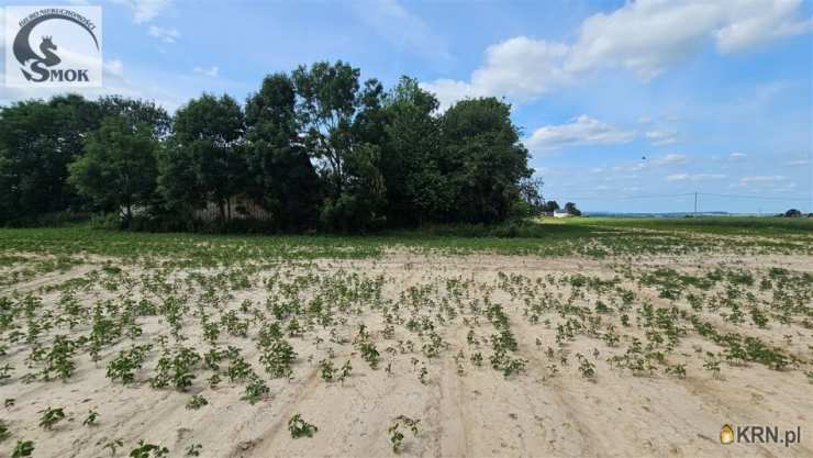 Biuro Nieruchomości SMOK Mateusz Góral, Działki  na sprzedaż, Mogilany, Celiny, ul. 
