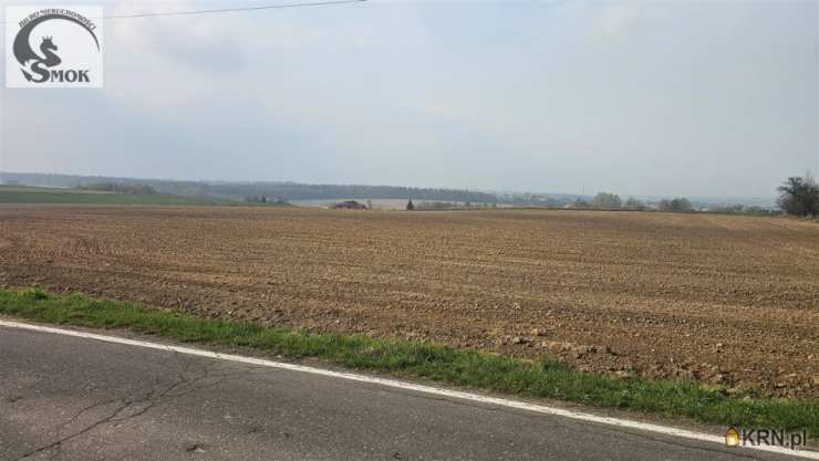 Działki  na sprzedaż, , Mogilany, Celiny, ul. 