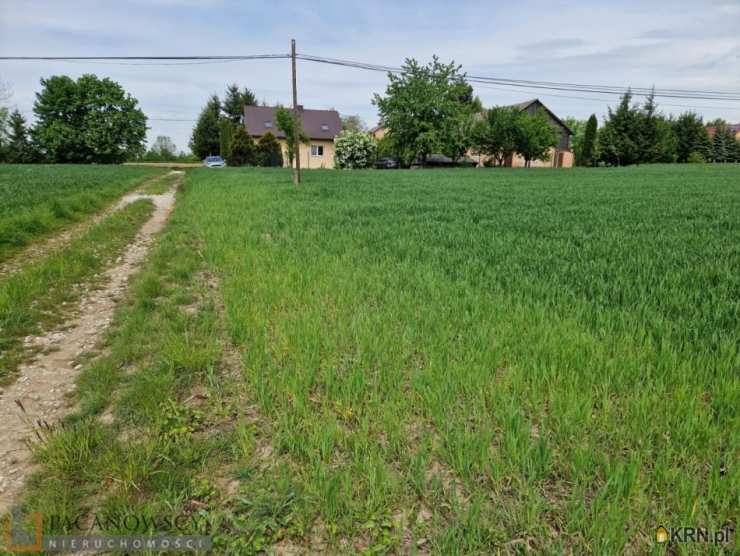 Działki  na sprzedaż, Sieciechowice, ul. , 