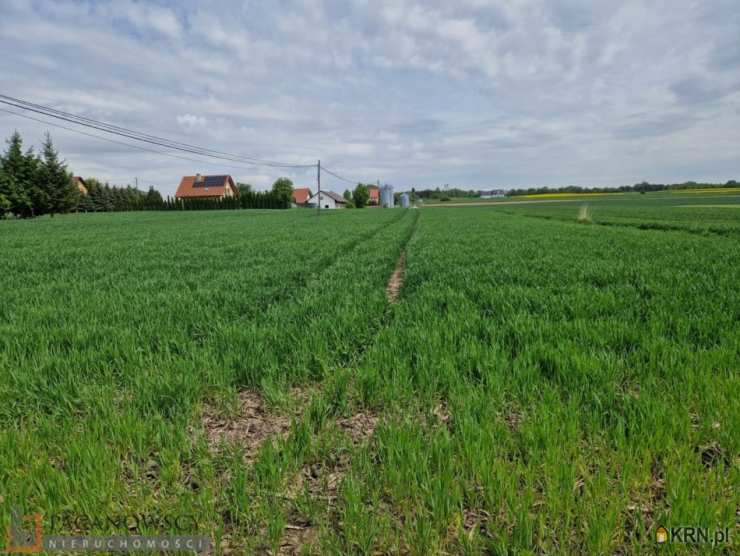 Działki  na sprzedaż, , Sieciechowice, ul. 