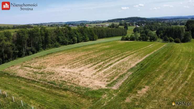 Działki  na sprzedaż, Sławkowice, ul. , 