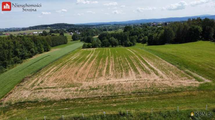 Działki  na sprzedaż, , Sławkowice, ul. 