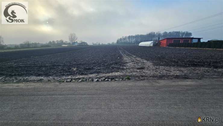 Działki  na sprzedaż, , Tropiszów, ul. 