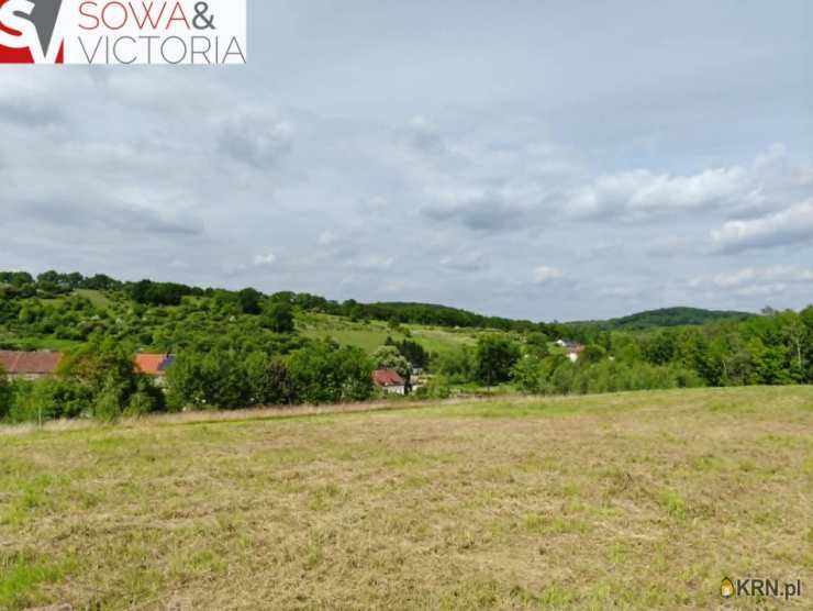 Działki  na sprzedaż, , Wałbrzych, Lubiechów, ul. 