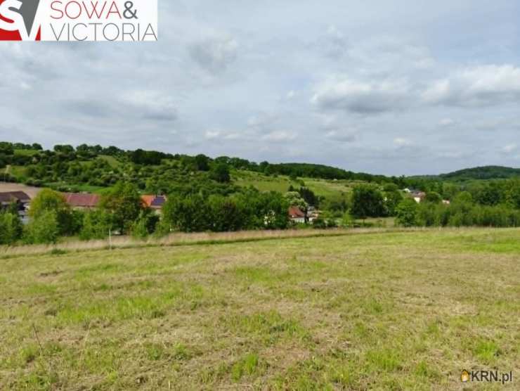 Wałbrzych, Lubiechów, ul. , Działki  na sprzedaż, 