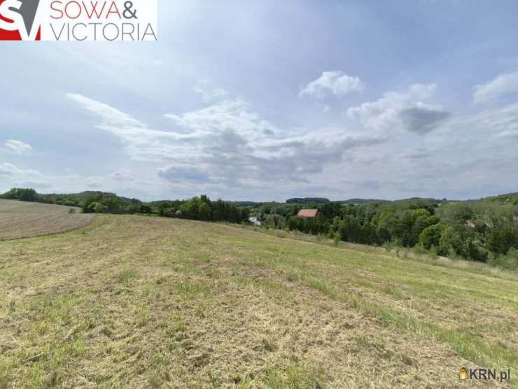 Wałbrzych, Lubiechów, ul. , , Działki  na sprzedaż
