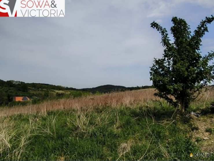 , Działki  na sprzedaż, Wałbrzych, Lubiechów, ul. 