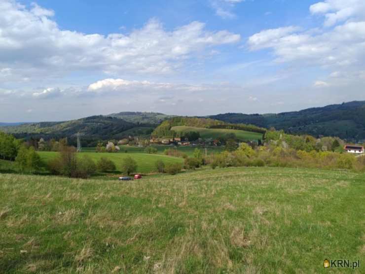 Działki  na sprzedaż, Walim, ul. , 