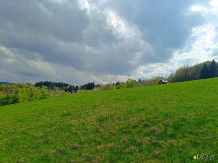 Walim, ul. , , Działki  na sprzedaż