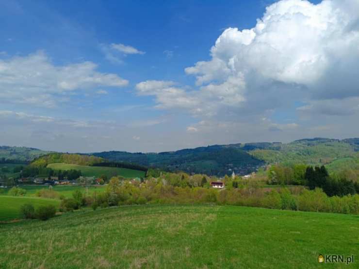 , Działki  na sprzedaż, Walim, ul. 