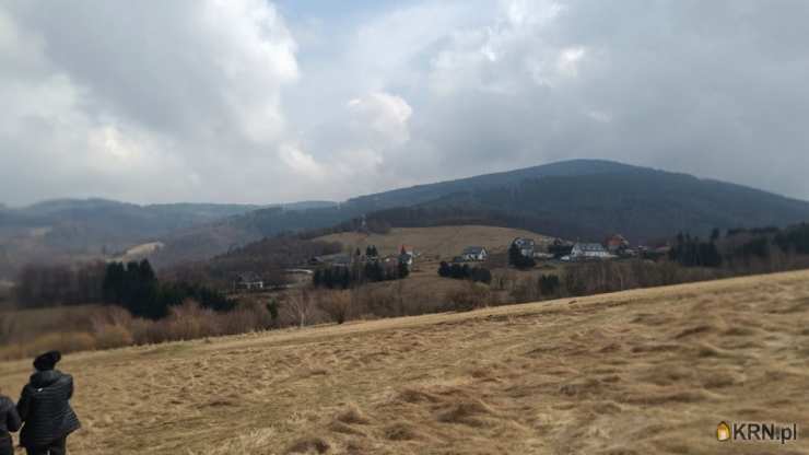 Działki  na sprzedaż, Walim, ul. , 