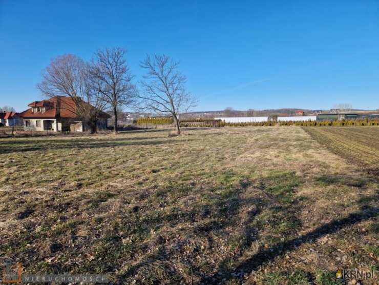 Masłomiąca, ul. , Działki  na sprzedaż, 