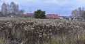 Działki na sprzedaż, Wioska