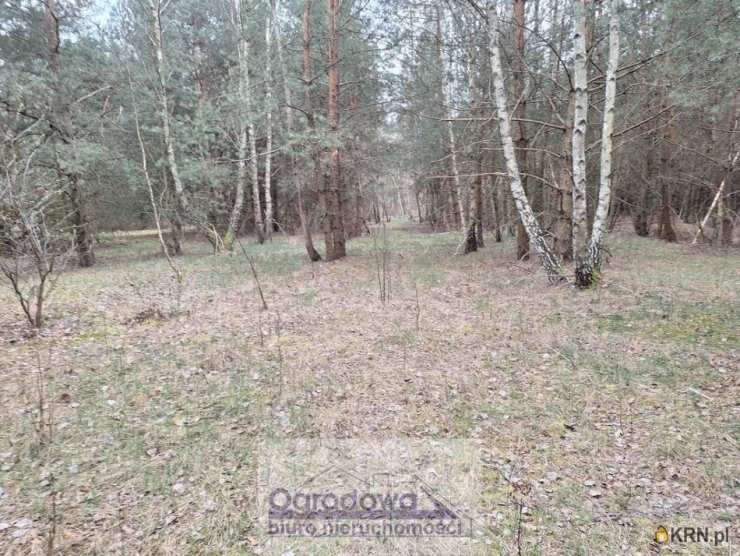 Działki  na sprzedaż, Kamieńczyk, ul. , 