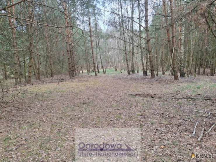 Działki  na sprzedaż, , Kamieńczyk, ul. 