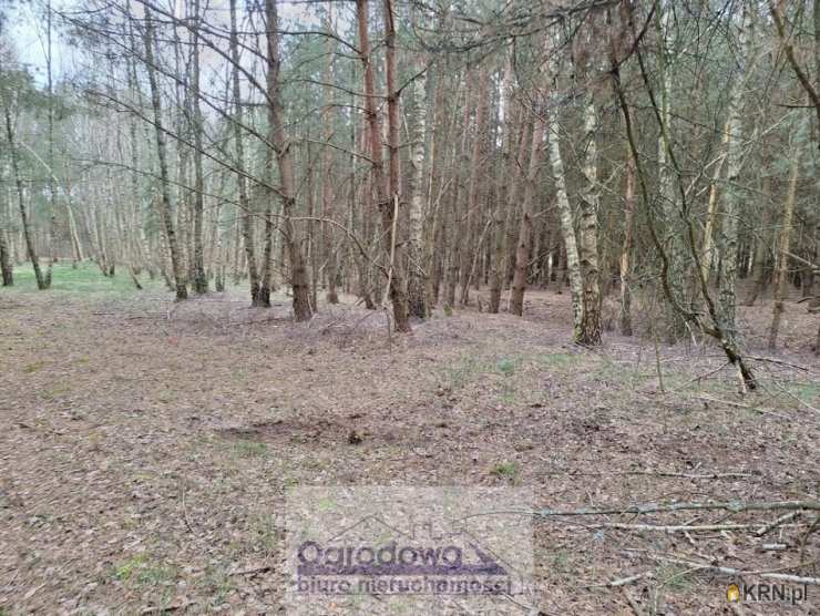 Kamieńczyk, ul. , , Działki  na sprzedaż