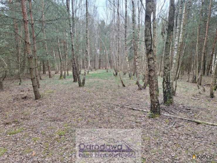 , Kamieńczyk, ul. , Działki  na sprzedaż