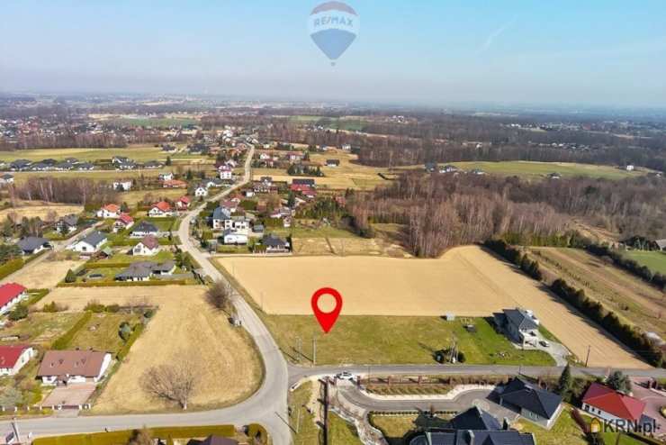 , Działki  na sprzedaż, Pisarzowice, ul. 