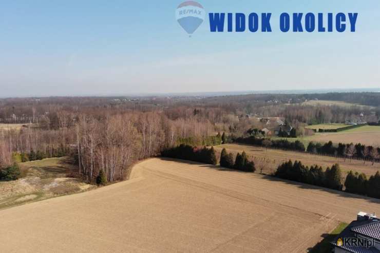 Działki  na sprzedaż, Pisarzowice, ul. , 