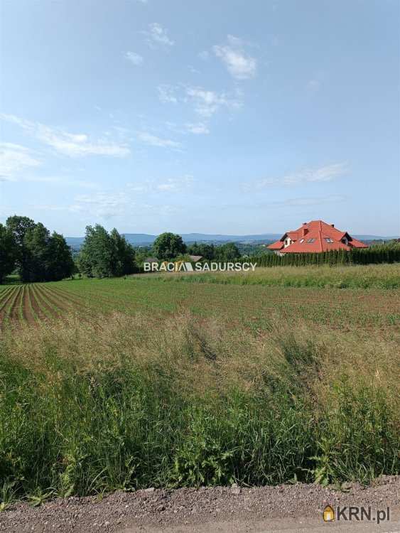 Gorzków, ul. , Działki  na sprzedaż, 