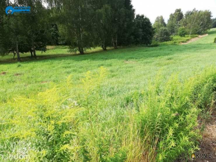 Jastrzębie-Zdrój, ul. , Działki  na sprzedaż, 