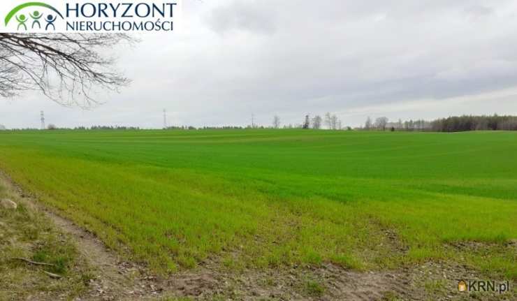 Działki  na sprzedaż, Borcz, ul. , 