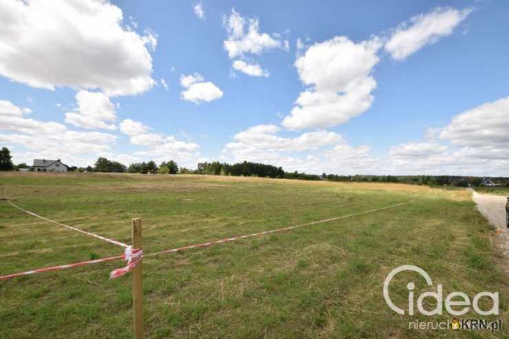 Idea Nieruchomości, Działki  na sprzedaż, Dołuje, ul. 