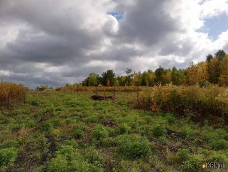 Działki  na sprzedaż, , Romany, ul. 