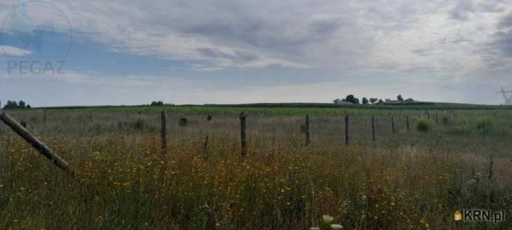 Działki  na sprzedaż, Rokitno, ul. , 