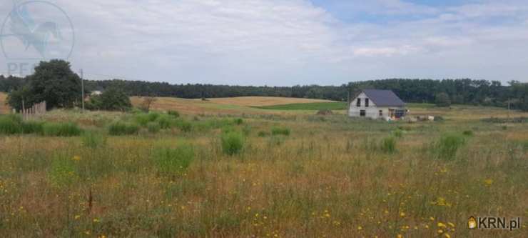 Działki  na sprzedaż, Rokitno, ul. , 