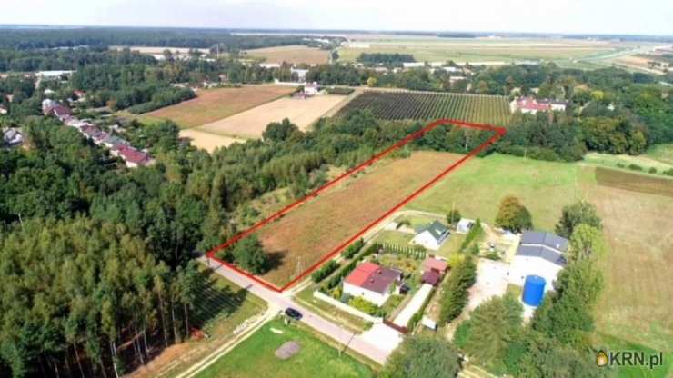 Babsk, ul. , Działki  na sprzedaż, 