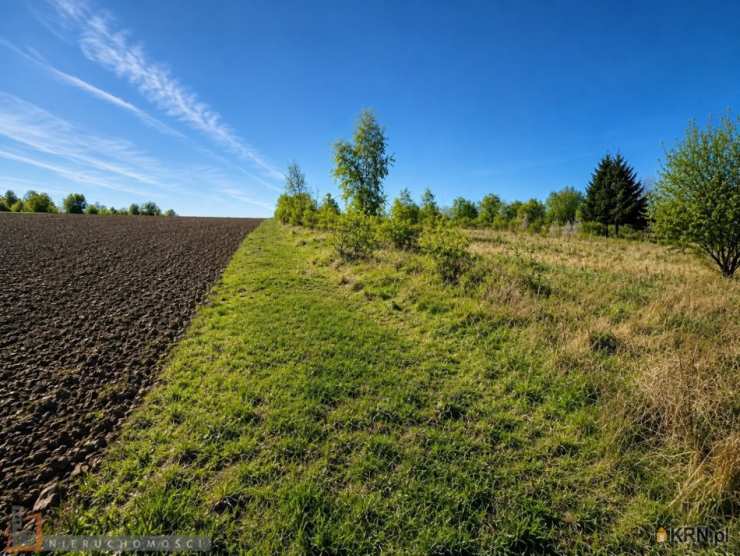 Działki  na sprzedaż, , Owczary, ul. 