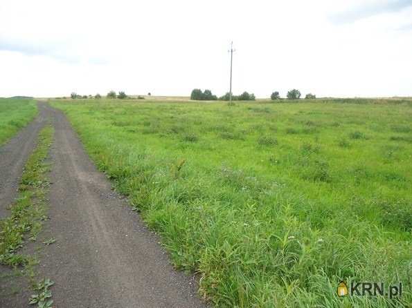 Działki  na sprzedaż, , Pustniki, ul. 