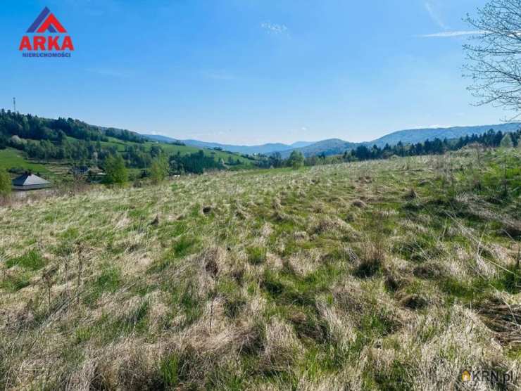 Działki  na sprzedaż, , Tokarnia, ul. 