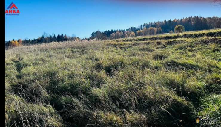 , Działki  na sprzedaż, Tokarnia, ul. 