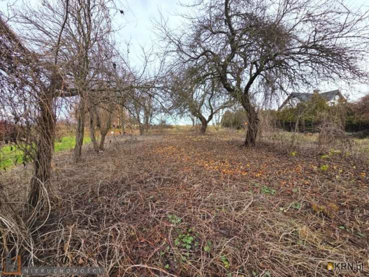 Działki  na sprzedaż, , Cianowice Duże, ul. 