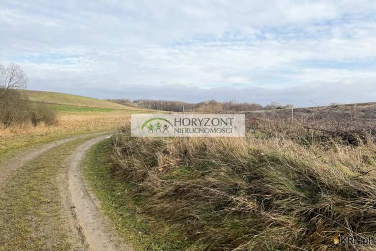 Działki  na sprzedaż, Lisewiec, ul. , 