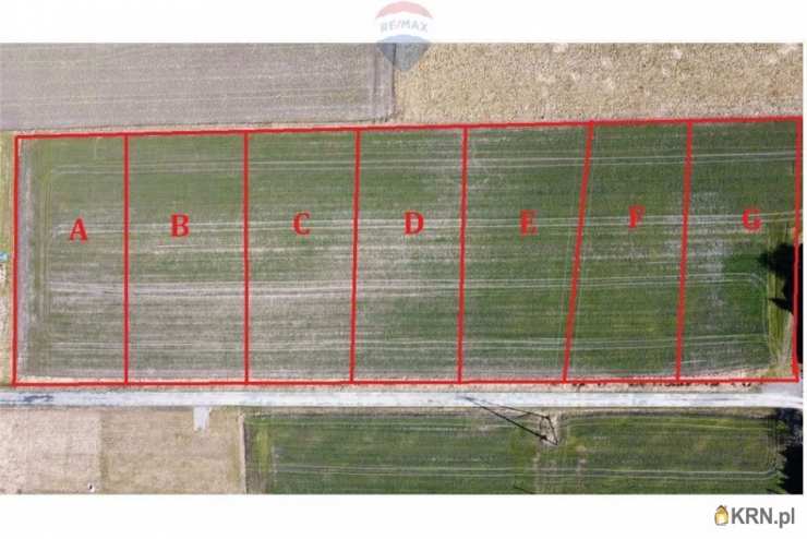 Zaborze, ul. , Działki  na sprzedaż, 