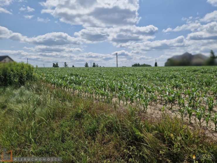 Działki  na sprzedaż, Dojazdów, ul. , 