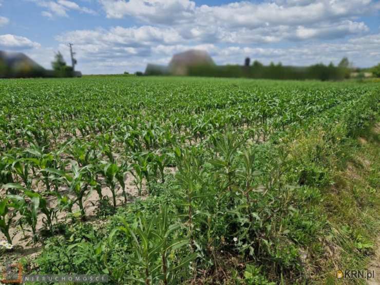 Działki  na sprzedaż, , Dojazdów, ul. 