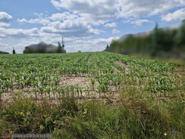 Dojazdów, ul. , Działki  na sprzedaż, 