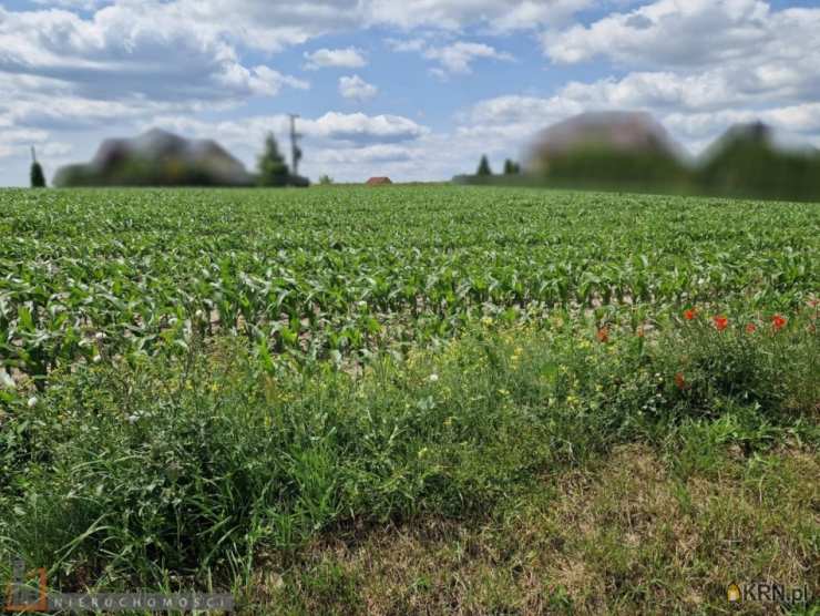 Działki  na sprzedaż, , Dojazdów, ul. 