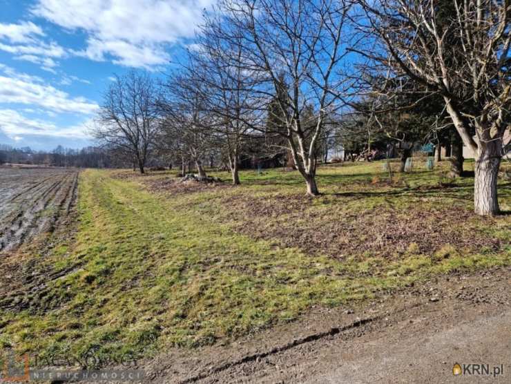 Działki  na sprzedaż, Pietrzejowice, ul. , 