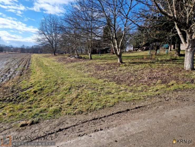 Działki  na sprzedaż, , Pietrzejowice, ul. 