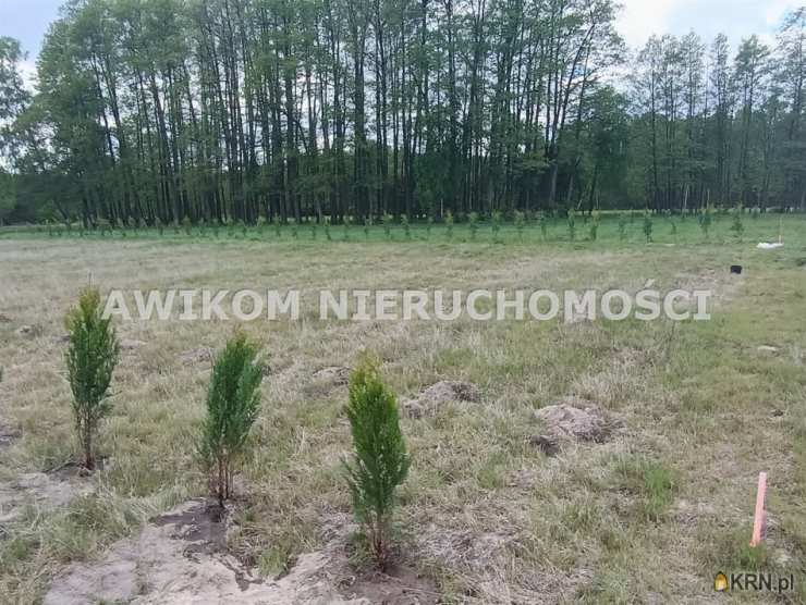 Działki  na sprzedaż, Radziwiłłów, ul. , 