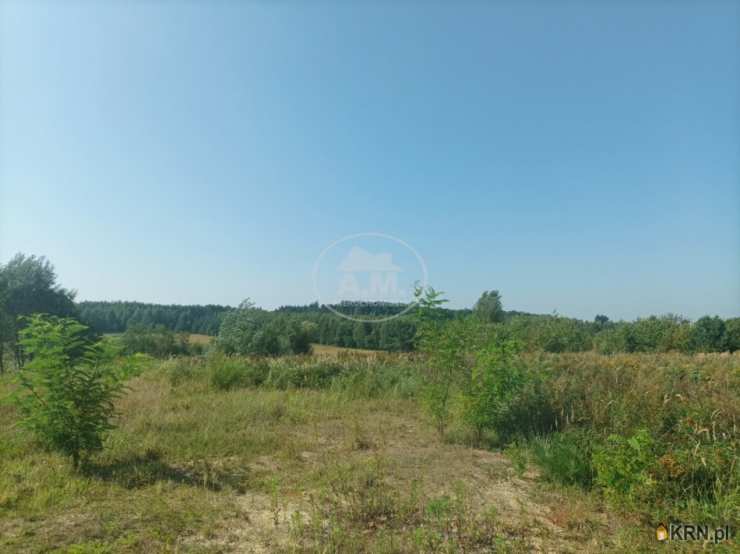 Rościsławice, ul. , , Działki  na sprzedaż