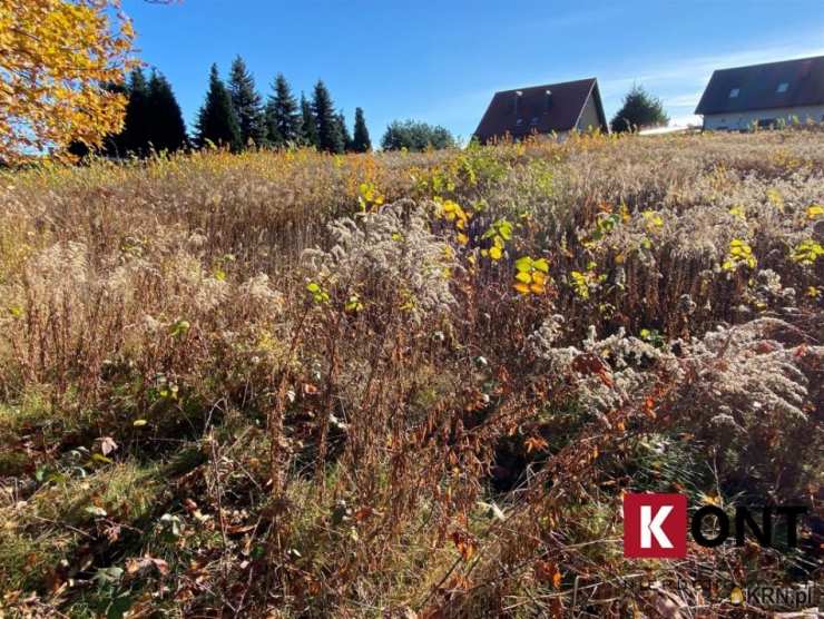 Zakrzów, ul. , , Działki  na sprzedaż