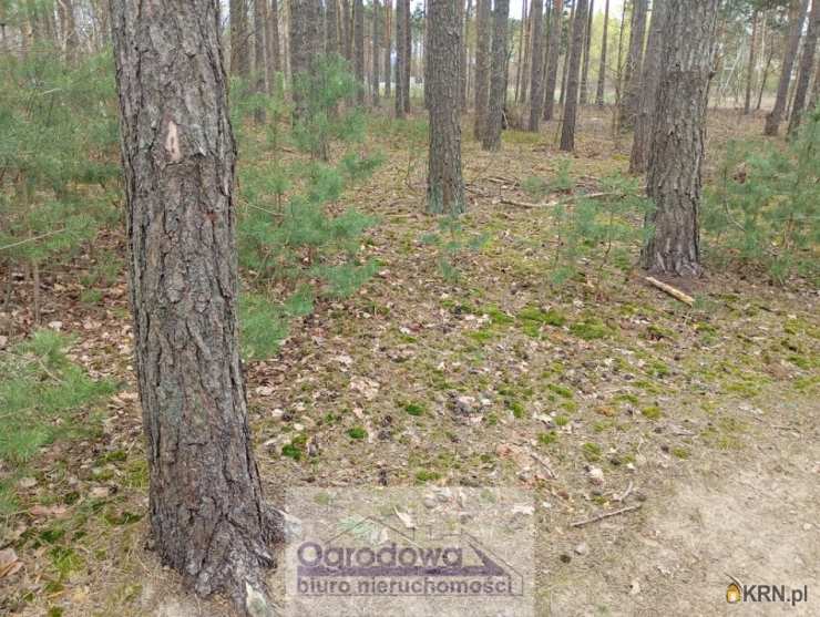 Wilcza Góra, ul. , Działki  na sprzedaż, 